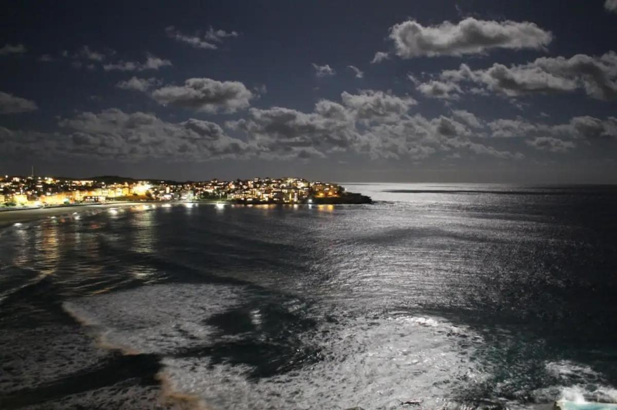 Studio Bondi Beach سيدني المظهر الخارجي الصورة